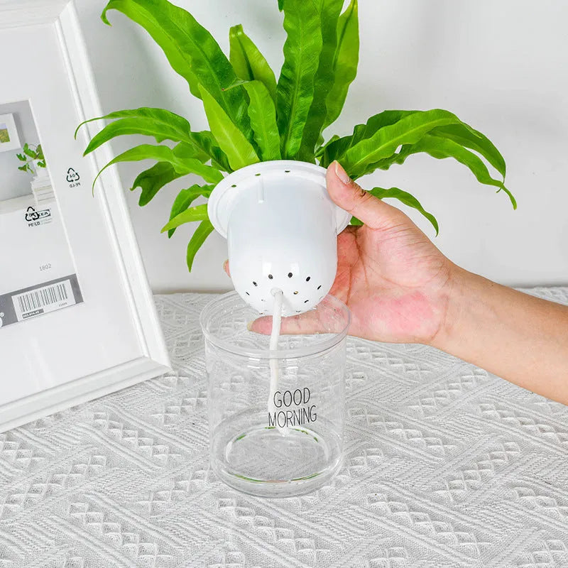 Double Tier Hydroponic Epipremnum Aureum Self-watering Flowerpot Home Decor Double Tier Visual Water Level Flowerpot - Bellarte Enchanté Double Tier Hydroponic Epipremnum Aureum Self-watering Flowerpot Home Decor Double Tier Visual Water Level Flowerpot